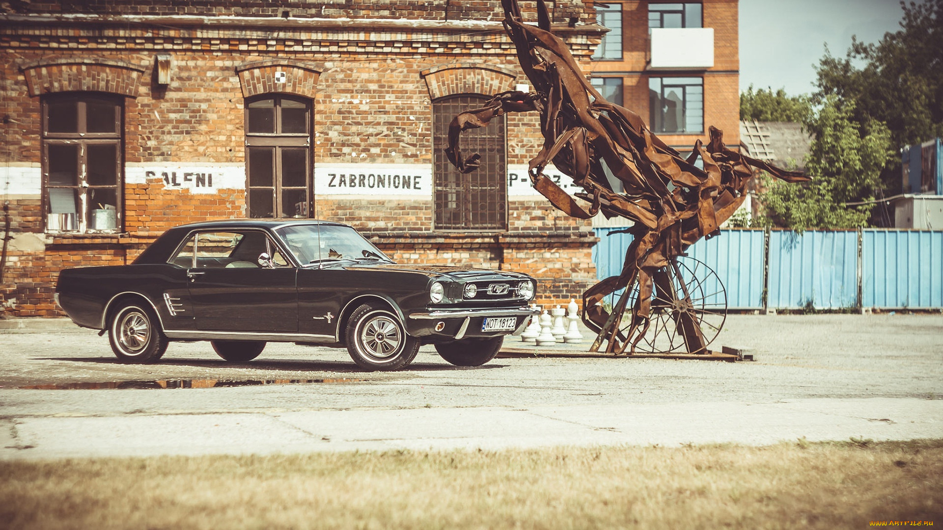 , mustang, 1966, ford